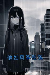 他如风筝坠落热门小说