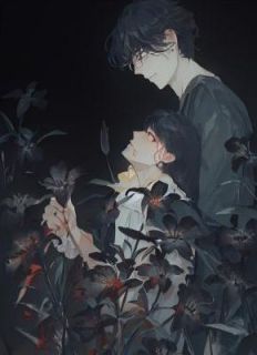 遗书上的告白长篇小说