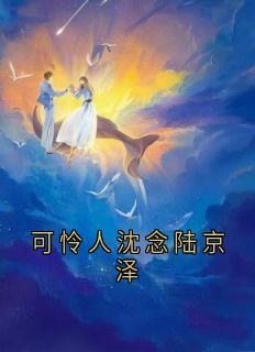 可怜人沈念陆京泽最新热门小说