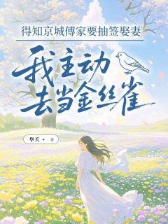 得知京城傅家要抽签娶妻，我主动去当金丝雀最新热门小说