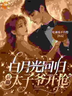 白月光回归，京圈太子爷开抢畅销小说推荐