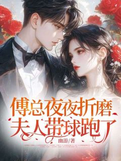 傅总夜夜折磨，夫人带球跑了精选小说推荐