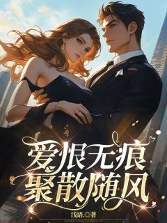 爱恨无痕，聚散随风高质量小说