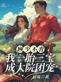 顾少不育？我一胎三宝成大院团宠全集小说