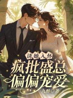 诱她入怀，疯批盛总偏偏宠爱精品小说