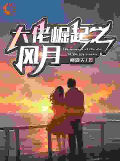 大佬崛起之风月最新热门小说