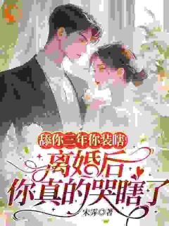 舔你三年你装瞎！离婚后你真的哭瞎了精选小说