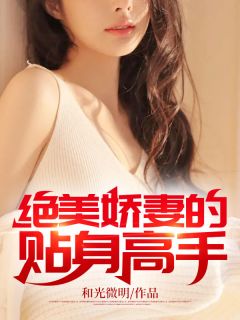 绝美娇妻的贴身高手全文阅读