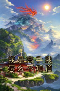 我是高手我怎么不知道精选小说推荐