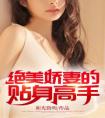 绝美娇妻的贴身高手全文阅读