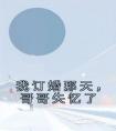我订婚那天，哥哥失忆了全文阅读