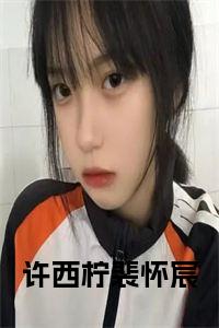 许西柠裴怀宸