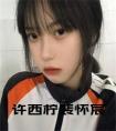 许西柠裴怀宸