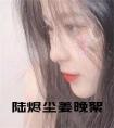 陆烬尘姜晚絮