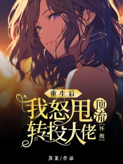 重生后，我怒甩顶流转投大佬怀抱全文版