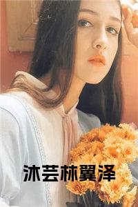 沐芸林翼泽全文下载