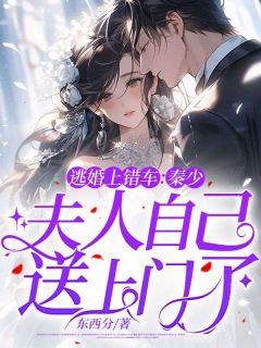 逃婚上错车：秦少，夫人自己送上门了全文阅读
