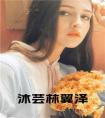 沐芸林翼泽全文下载