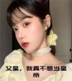 父皇，我真不想当皇帝