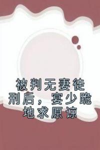 被判无妻徒刑后，宴少跪地求原谅畅销小说推荐