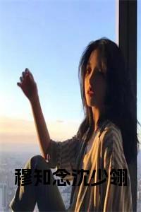 穆知念沈少翎全文阅读