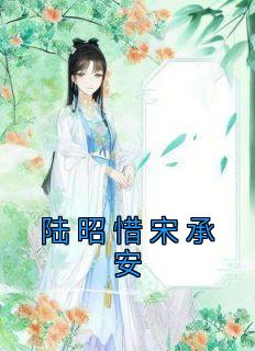 陆昭惜宋承安完整文本