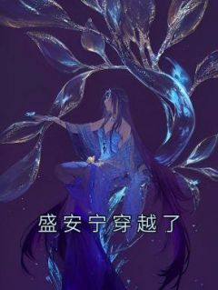 盛安宁穿越了最新热门小说