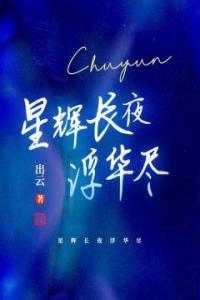 星辉长夜浮华尽全集小说推荐