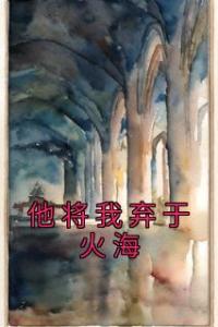 他将我弃于火海完整阅读