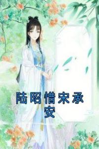 陆昭惜宋承安完整文本