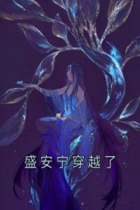 盛安宁穿越了最新热门小说