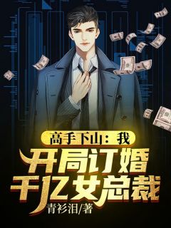 高手下山：我，开局订婚千亿女总裁完整阅读