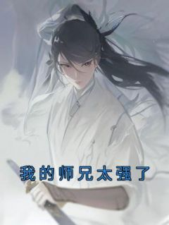 我的师兄太强了精选小说推荐