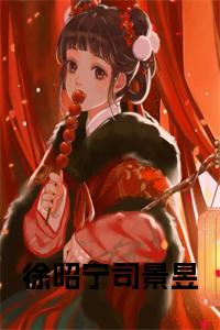 徐昭宁司景昱小说