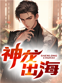 神龙出海全集小说