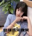 陆瑾言宋晚棠小说