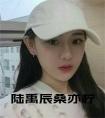 陆禹辰桑亦柠小说名字