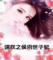 谋权之侯府世子妃小说名字