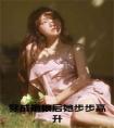穿成娘娘后她步步高升正版无弹窗