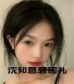 沈知意裴砚礼全文小说