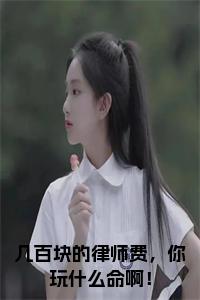 几百块的律师费,你玩什么命啊!全文