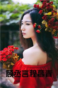 顾丞言程慕青正版小说