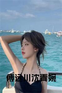 傅远川沈青婉