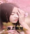 无上圈宠免费