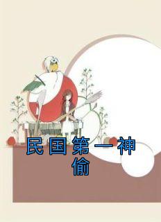 民国第一神偷全文阅读