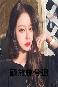 顾放林兮迟小说名