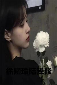 徐婉瑜陆泽修免费阅读