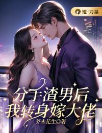 分手渣男后，我转身嫁大佬热门小说