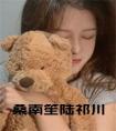 桑南笙陆祁川小说