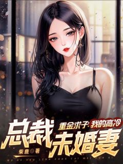 重金求子：我的高冷总裁未婚妻畅销小说推荐